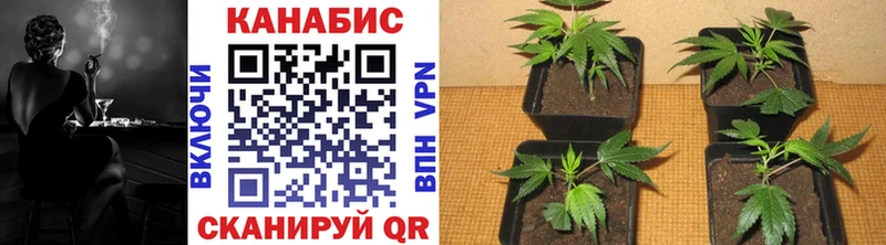 Что такое Родники АМФ  СОЛЬ  Гашиш  Каннабис 