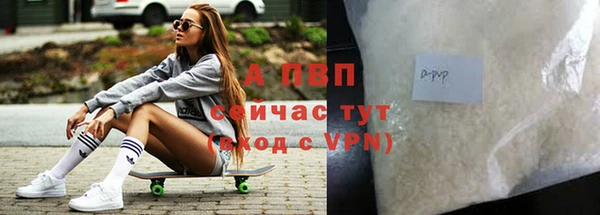 твердый Новозыбков