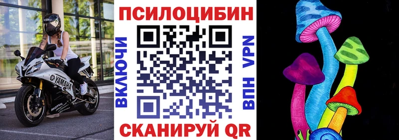 наркотики Родники mega вход Галлюциногенные грибы мицелий