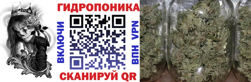 Шишки марихуана SATIVA & INDICA KRAKEN зеркало Родники где купить наркоту